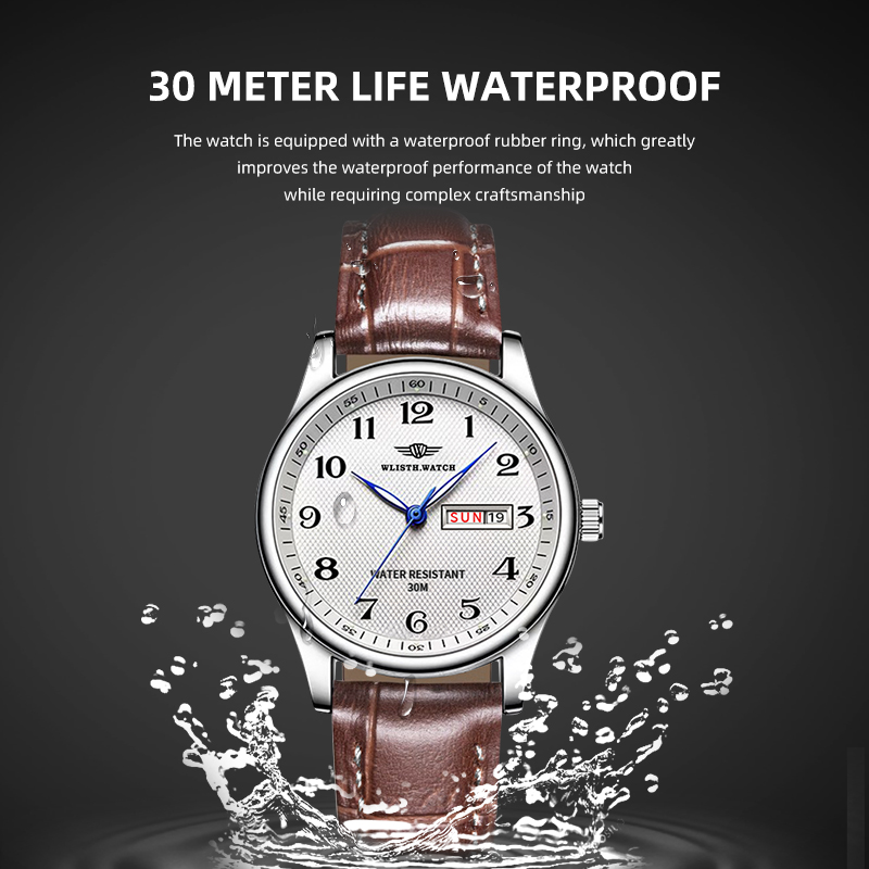 Reloj WLISTH de lujo para homb - Luxury Watch Holder For Men reseña y precio